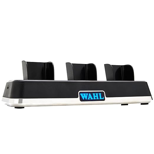 Wahl Power Station